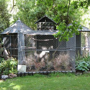old kea aviary (now empty)