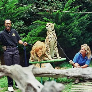 Scanned San Diego Zoo Photos 1992-2001