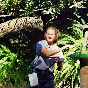 Scanned San Diego Zoo Photos 1992-2001