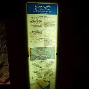 Signage example, December 2011.