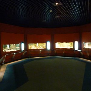 Reptile area, December 2011.