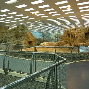 Main aviary, December 2011.