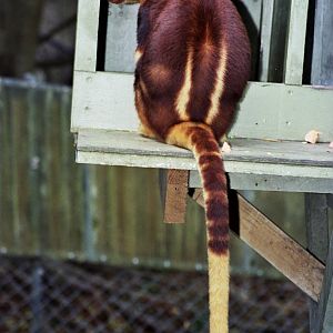 Currumbin Wildlife Sanctuary 2007