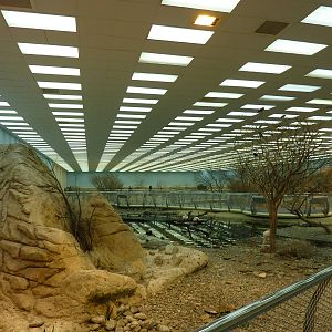 Main aviary, December 2011.