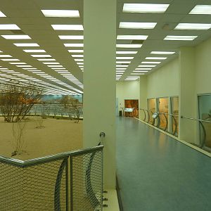 Carnivore viewing area in main aviary, December 2011.