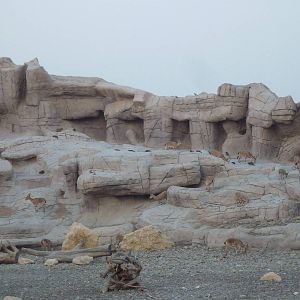 Cliffs as seen from restaurant, December 2011.