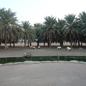 View from restaurant, December 2011.