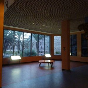 Arabian leopard viewing area, December 2011.