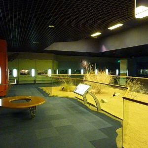 Reptile area, December 2011.