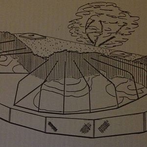 Former plans for ocelot and mountain lion enclosures