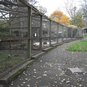 Sewerby Zoo 9th November 2012