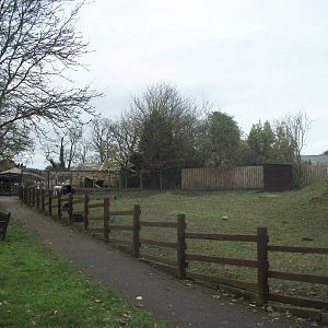 Sewerby Zoo 9th November 2012