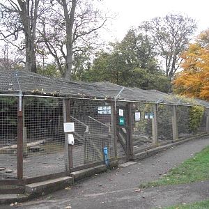 Sewerby Zoo 9th November 2012