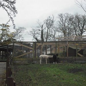 Sewerby Zoo 9th November 2012