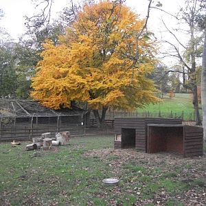 Sewerby Zoo 9th November 2012