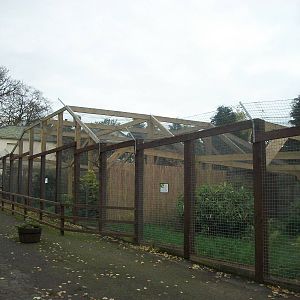 Sewerby Zoo 9th November 2012