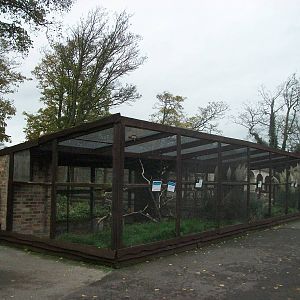 Sewerby Zoo 9th November 2012