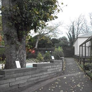 Sewerby Zoo 9th November 2012