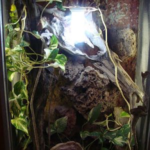 Terrarium