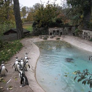 Sewerby Zoo 9th November 2012