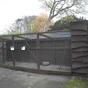 Sewerby Zoo 9th November 2012