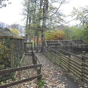 Sewerby Zoo 9th November 2012