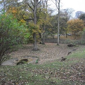 Sewerby Zoo 9th November 2012