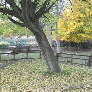 Sewerby Zoo 9th November 2012