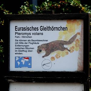 Signage Example at Dresden, 29/08/12