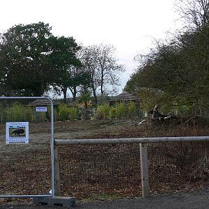 Giant Anteater Construction Site at Yorkshire WP 01/11/12