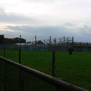 General View at Yorkshire WP 01/11/12