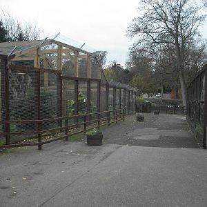 Sewerby Zoo 9th November 2012