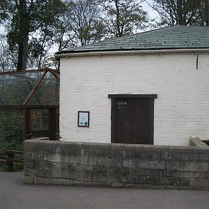 Sewerby Zoo 9th November 2012