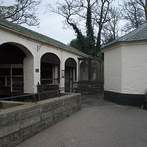 Sewerby Zoo 9th November 2012