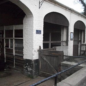 Sewerby Zoo 9th November 2012