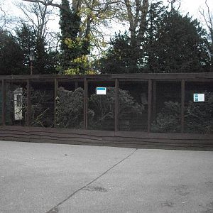 Sewerby Zoo 9th November 2012