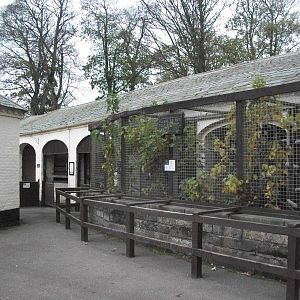 Sewerby Zoo 9th November 2012