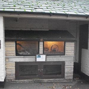 Sewerby Zoo 9th November 2012