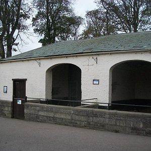 Sewerby Zoo 9th November 2012