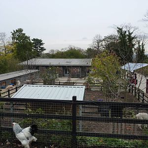 View over lower farmyard, 6th November 2012.