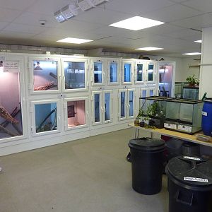 Exotics room, 6th November 2012.