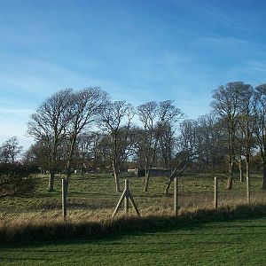 Sewerby Hall and Gardens, paddocks area 11th November 2012