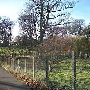 Sewerby Hall and Gardens, paddocks area 11th November 2012