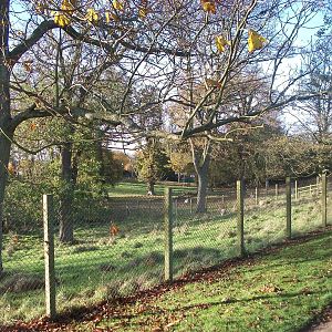 Sewerby Hall and Gardens, paddocks area 11th November 2012