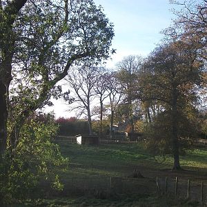 Sewerby Hall and Gardens, paddocks area 11th November 2012