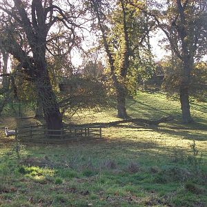 Sewerby Hall and Gardens, paddocks area 11th November 2012
