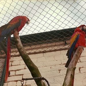 Sewerby Zoo early 1980s