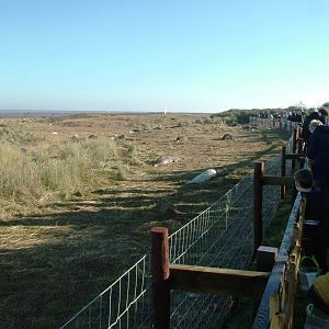 Public Viewing Area - Grey Seal Colony at Donna Nook NNR, 11/11/12