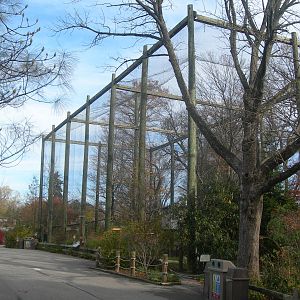 Outdoor Flight Cages