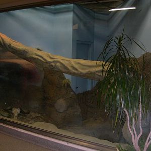 African Rock Python Exhibit in Elephant Crossing